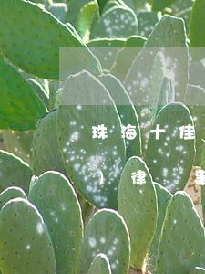 珠海十佳律師事務(wù)所(海珠區(qū)律師事務(wù)所一覽表)