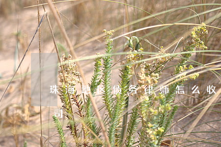 珠海地区债务律师怎么收费(珠海债务处理公司)