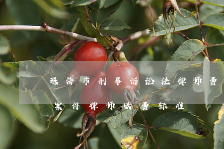 珠海市刑事诉讼法律师费怎么算(广东省刑事案件律师收费标准)