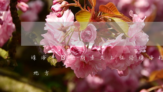 珠海平臺逾期多久上征信(珠海打征信報告的地方)