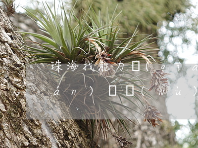 珠海找能力強(qiáng)的債權(quán)債務(wù)律師選誰-珠海債務(wù)律師費(fèi)用免費(fèi)咨詢