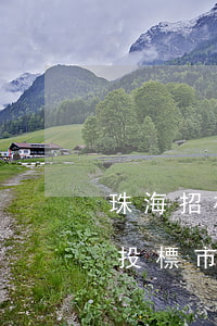 珠海招標法律法規(guī)(在珠海的招投標市場中,有那些限制于投標人的條件有什么特點)