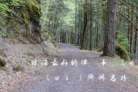 珠海最好的律師事務(wù)所(珠海律師事務(wù)所排名榜)