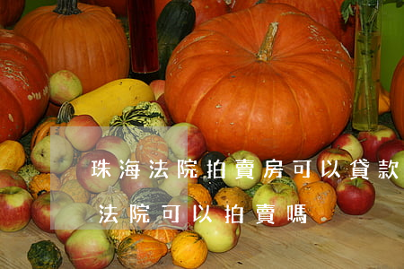 珠海法院拍賣房可以貸款嗎(銀行房貸未還清,法院可以拍賣嗎)