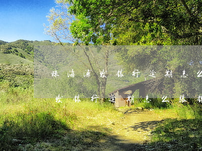 珠海浦发银行逾期怎么跟银行协商-珠海浦发银行逾期怎么跟银行协商还款