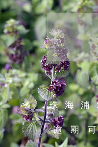 珠海浦发银行逾期怎么跟银行协商(浦发银行逾期可以到银行当面协商还款)