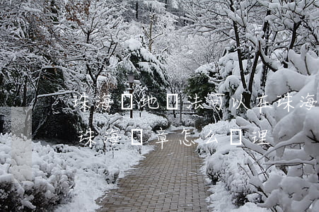 珠海異地違法可以在珠海交罰款嗎(外地車在珠海違章怎么處理)