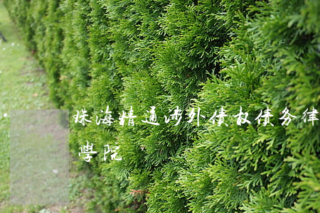 珠海精通涉外债权债务律师网 珠海经济贸易学院