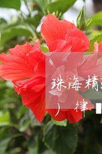 珠海精通涉外債權(quán)債務(wù)律師哪個好-珠海涉外律師事務(wù)所
