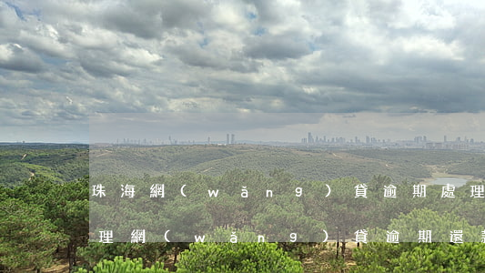 珠海網(wǎng)貸逾期處理方案(如何處理網(wǎng)貸逾期還款問題)
