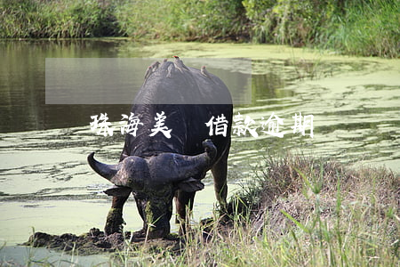 珠海美團借款逾期