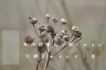 珠海趙華芳欠網(wǎng)貸(珠海趙華芳欠網(wǎng)貸)