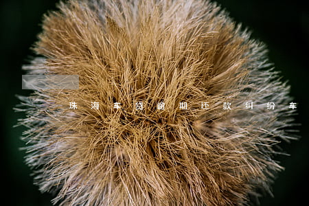 珠海车贷逾期还款纠纷(车贷逾期不还)