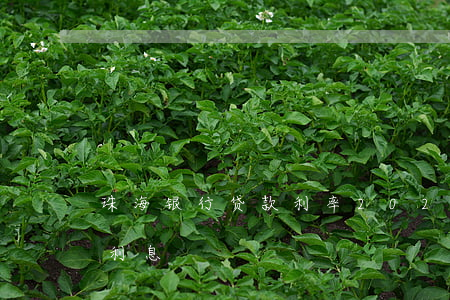 珠海银行贷款利率2020（珠海银行信用卡利息）