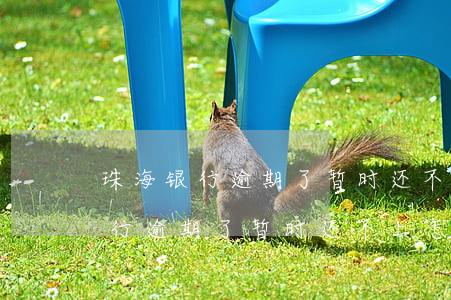 珠海银行逾期了暂时还不上怎么办-珠海银行逾期了暂时还不上怎么办呢