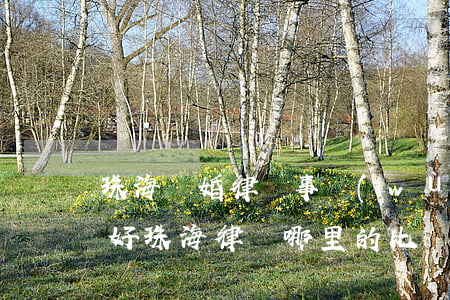 珠海離婚律師事務(wù)所哪個(gè)好(珠海律師哪里的比較好)