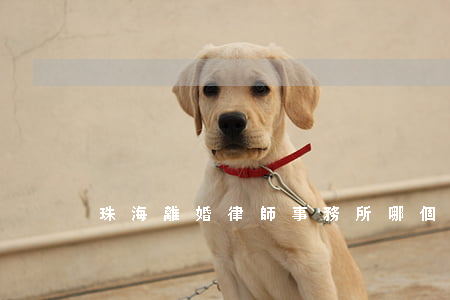 珠海離婚律師事務所哪個好(珠海婚姻律師)