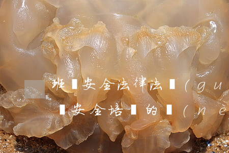 班級安全法律法規(guī)培訓材料(班組安全培訓的內(nèi)容有哪些)