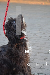 班組長是安全生產(chǎn)法律法規(guī)(企業(yè)班組長的生產(chǎn)安全責(zé)任包括的內(nèi)容謝謝啊越快越好)