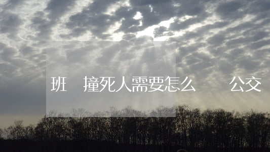 班車撞死人需要怎么賠償(公交車撞人怎么賠償)
