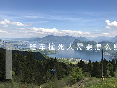 班车撞死人需要怎么赔偿(撞死人赔钱)
