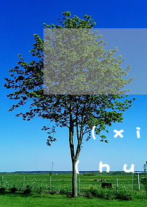 現(xiàn)今白條逾期(白條逾期真的會(huì)立案嗎)