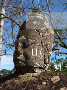 現(xiàn)在不還信用卡算逾期嗎(信用卡逾期可以不還嗎)