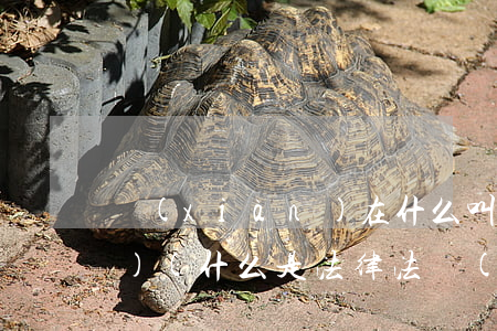 現(xiàn)在什么叫法律法規(guī)(什么是法律,法規(guī),規(guī)章和規(guī)范性文件)