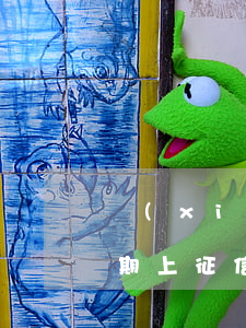 現(xiàn)在什么網(wǎng)貸逾期上征信(網(wǎng)貸逾期上征信了怎么辦)