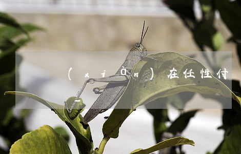 現(xiàn)在任性付沒有逾期還上征信嗎-