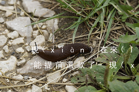現(xiàn)在來(lái)分期怎么不能提前還款了-現(xiàn)在來(lái)分期怎么不能提前還款了呀