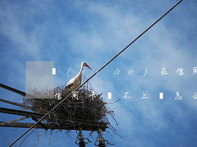 現(xiàn)在信用卡不還的人多嗎(多張信用卡還不上會怎么樣)