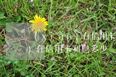 現(xiàn)在信用卡利息(現(xiàn)在信用卡利息多少)