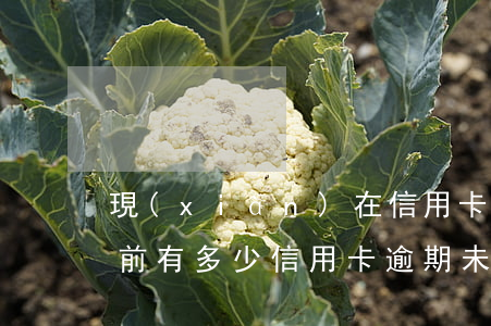 現(xiàn)在信用卡有多少逾期 中國目前有多少信用卡逾期未還