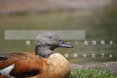 現(xiàn)在信用卡欠了4萬 現(xiàn)在信用卡欠了4萬怎么辦