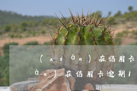 現(xiàn)在信用卡逾期1天(現(xiàn)在信用卡逾期1天了)