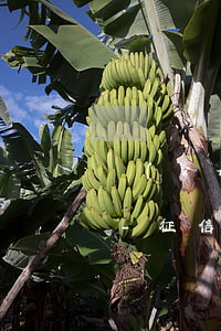 現(xiàn)在信用卡逾期了會上征信嗎-征信有逾期為什么還能辦信用卡