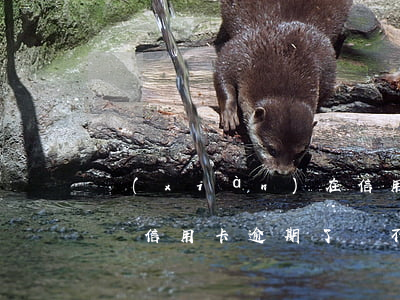 現(xiàn)在信用卡逾期了還不上怎么辦(信用卡逾期了還不上怎么辦)