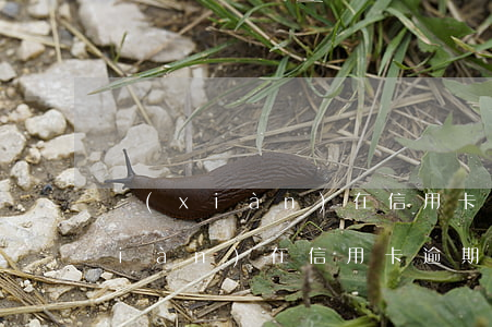 現(xiàn)在信用卡逾期十天了(現(xiàn)在信用卡逾期十天了怎么辦)