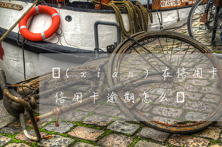 現(xiàn)在信用卡逾期怎么辦 所有的信用卡逾期怎么辦