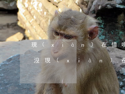 現(xiàn)在借唄花唄升級了逾期有事沒(現(xiàn)在借唄花唄升級了逾期有事沒有)