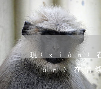 現(xiàn)在借錢起訴幾年有效(現(xiàn)在借錢起訴幾年有效啊)
