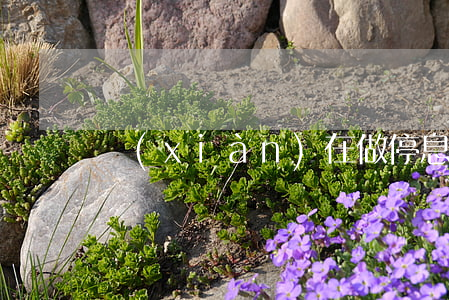 現(xiàn)在做停息掛賬賺錢嗎