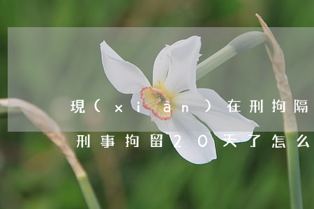 現(xiàn)在刑拘隔離多少天能見律師(刑事拘留20天了怎么還不讓見律師)