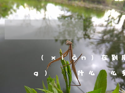 現(xiàn)在到底多少人欠網(wǎng)貸(為什么這么多人欠網(wǎng)貸)