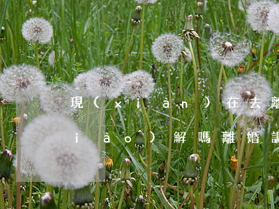 現(xiàn)在去離婚民政局會給調(diào)解嗎(離婚調(diào)解成功需要去民政局嗎)