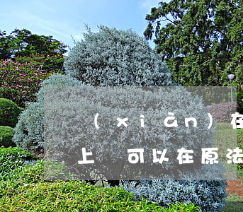 現(xiàn)在可以直接到法院在上訴嗎(上訴可以在原法庭上訴嗎?)