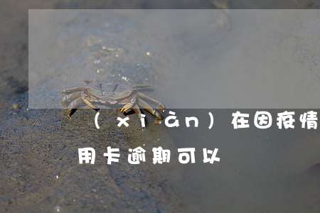現(xiàn)在因疫情導(dǎo)致信用卡逾期可以