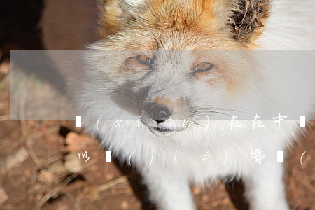 現(xiàn)在在中國(guó)幾歲可以結(jié)婚（領(lǐng)結(jié)婚證需要帶什么證件）