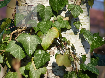 現(xiàn)在好多人欠網(wǎng)貸還不起(現(xiàn)在有多少人欠網(wǎng)貸還不上)